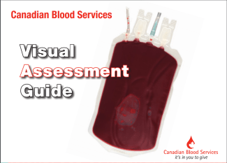 Visual Assessment Guide cover
