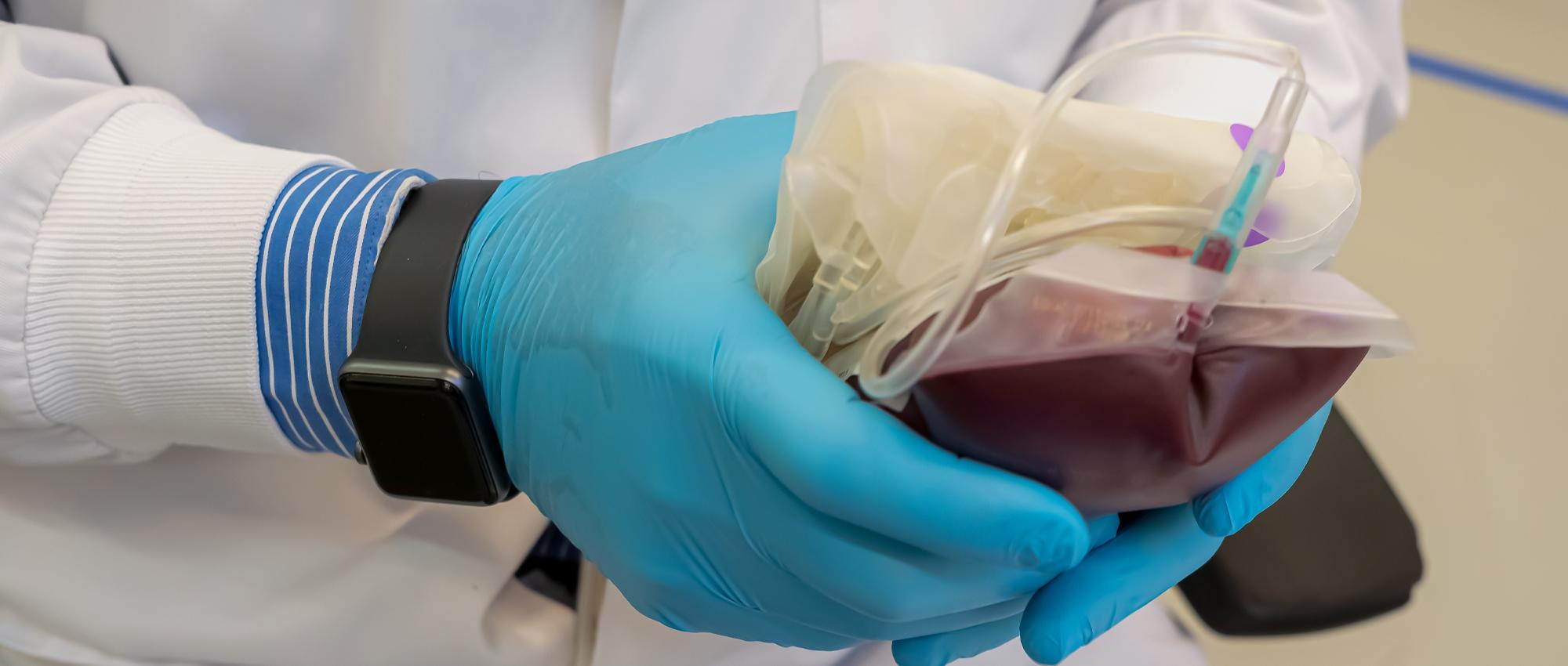 Person wearing gloves holding the blood bag